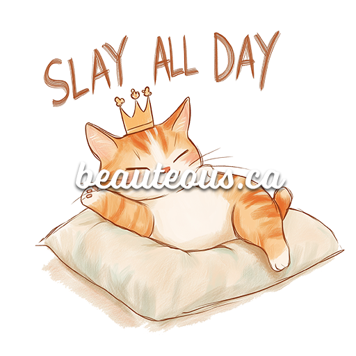 Slay All Day Kitty Premium T-Shirt